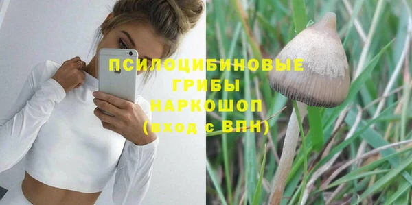 бошки Алексеевка